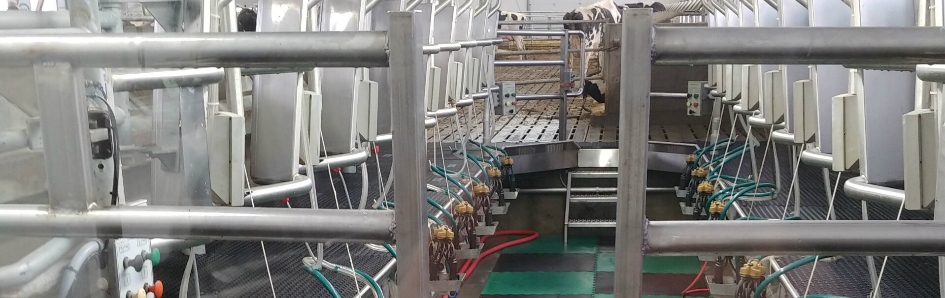 Performance Dairy Centre Inc. Embro, Ontario